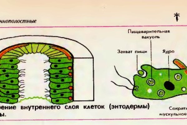 Кракен маркетплейс ссылка