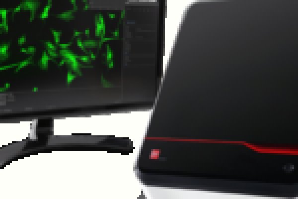 Кракен зеркало на сегодня