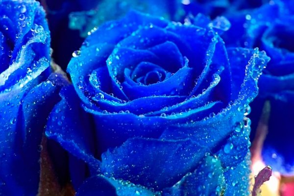 Кракен наркота что это