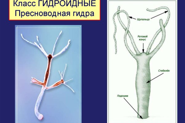 Кракен маркетплейс ссылка на сайт